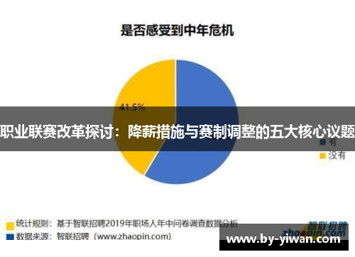 职业联赛改革探讨:降薪措施与赛制调整的五大核心议题 职业联赛改革探讨:降薪措施与赛制调整的五大核心议题