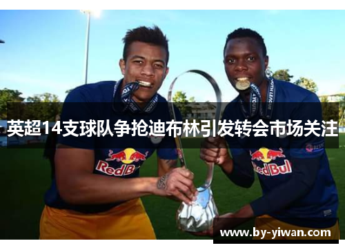 英超14支球队争抢迪布林引发转会市场关注