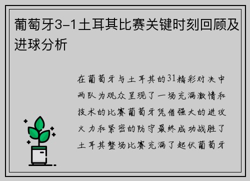 葡萄牙3-1土耳其比赛关键时刻回顾及进球分析