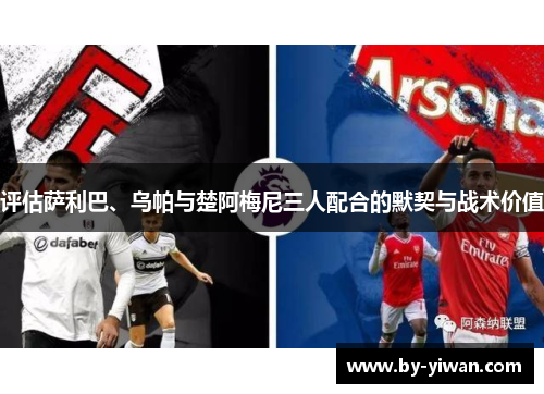 评估萨利巴、乌帕与楚阿梅尼三人配合的默契与战术价值