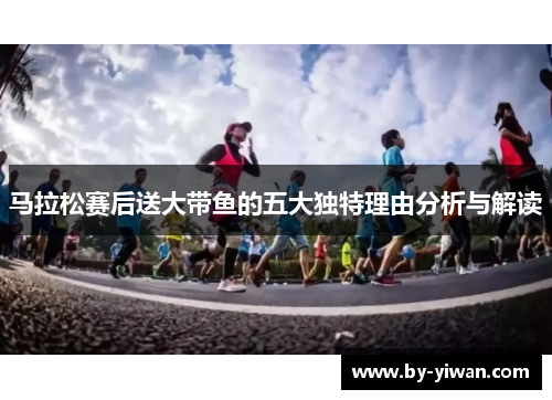 马拉松赛后送大带鱼的五大独特理由分析与解读
